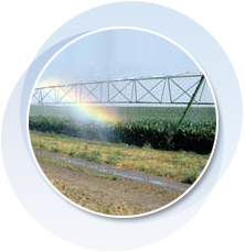 Irrigation